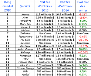 Top_20_entreprises_MLM_2015