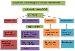 organigramme pyramidale hirarchique parties prenantes maxicours administration pfeg conseil